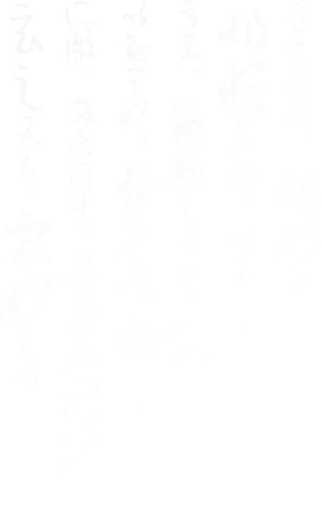 热门拍品