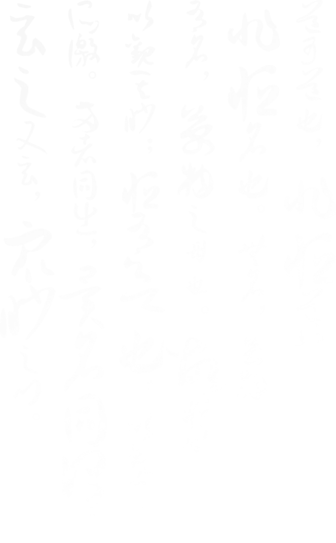 热门拍品