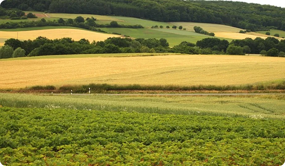 与全球顶尖生物巨头<br>战略合作