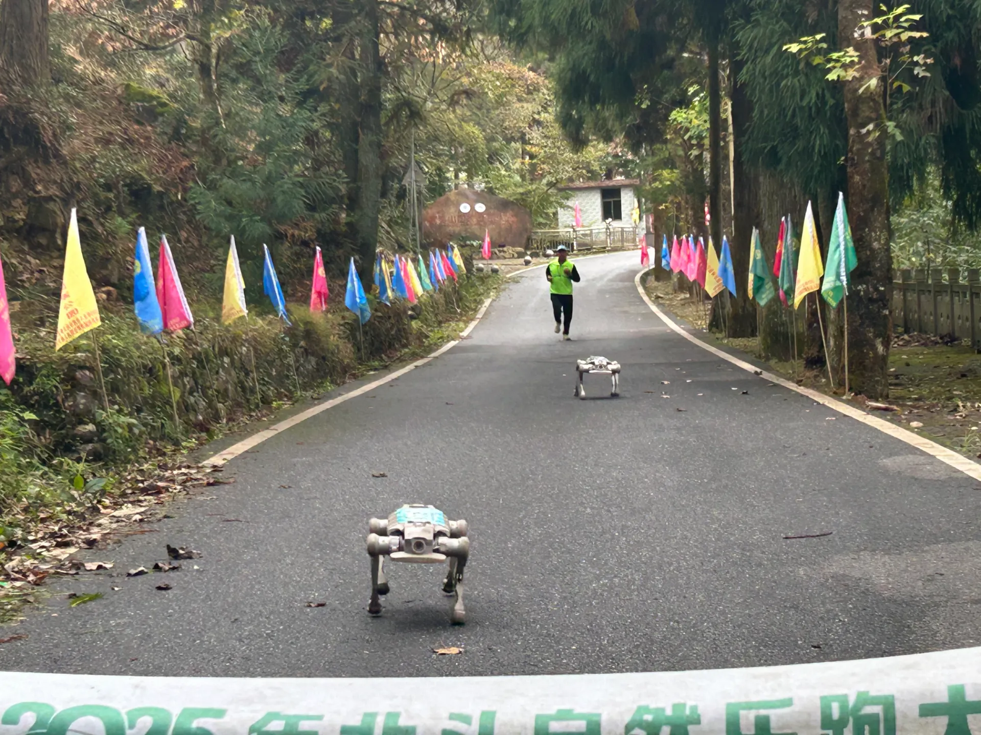 武夷山文旅乐跑项目