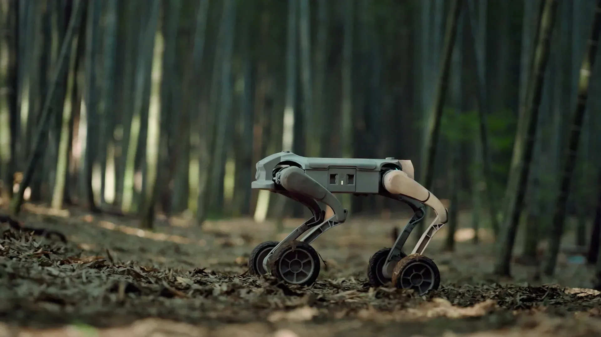 Lightweight Direct Drive, Rapid Response