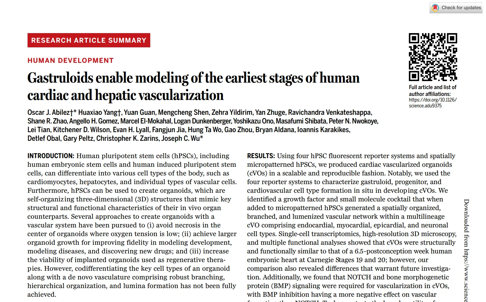 科学突破：斯坦福团队成功构建具有功能性血管的心脏和肝脏类器官