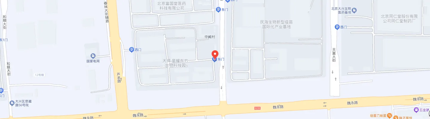总部