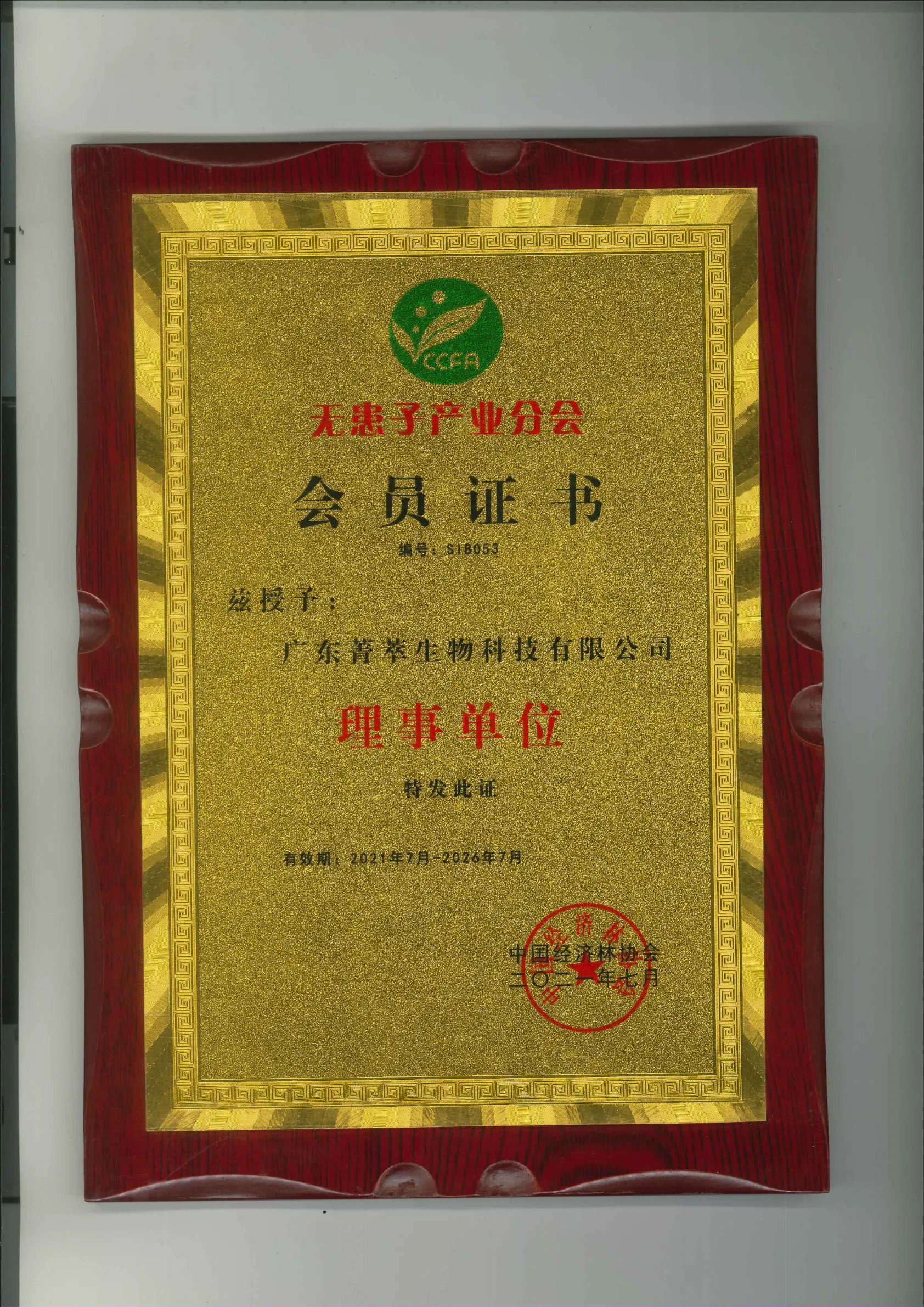 无患子产业理事单位